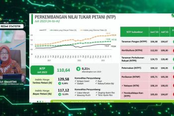 BPS: Nilai Tukar Petani Juli 2023 Naik 0,2%