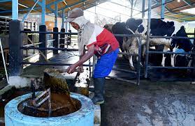 Pabrik Biogas Dibangun di Lombok, Olah Limbah Sampah Pertanian