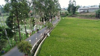 Lebih Dari 2800 Desa BRILiaN Semakin Berdaya Berkat BRI