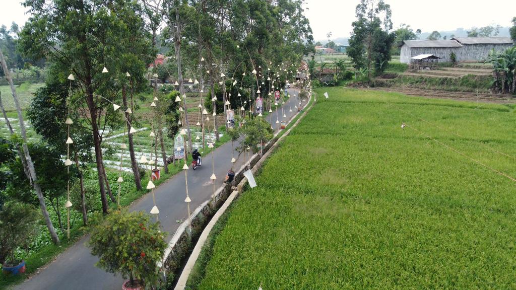 Lebih Dari 2800 Desa BRILiaN Semakin Berdaya Berkat BRI