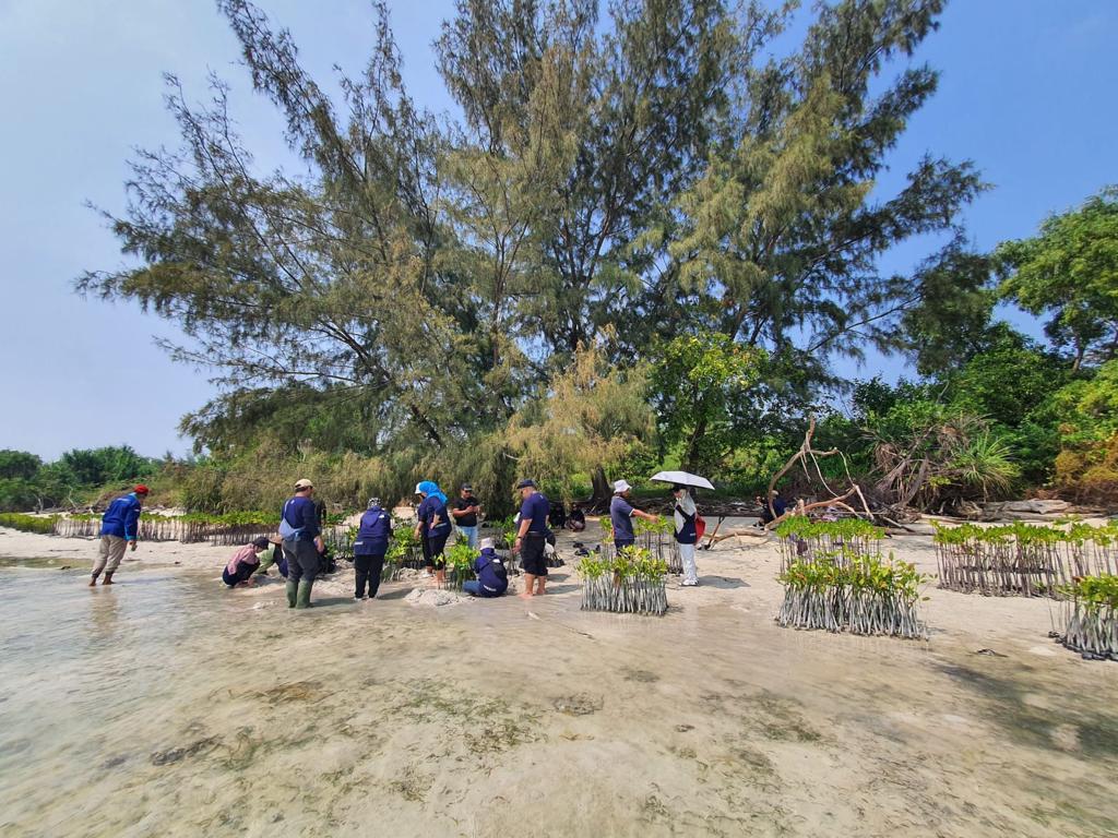 Dukung Upaya Pemerintah Bebas Emisi Karbon, BRI Kembali Tanam Bibit Mangrove di Pulau Tidung