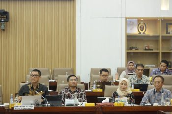 Komisi VI DPR RI Dukung Usulan PMN PLN untuk Program Listrik Desa