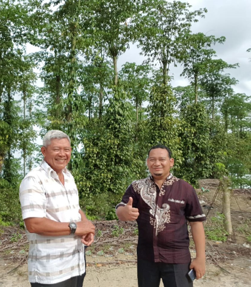 Penyesatan Oknum KTNA Mengenai Budidaya Sorgum di Lahan Eks Tambang