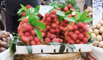 Binjai, Kota Rambutan Tempat Persinggahan Pedagang