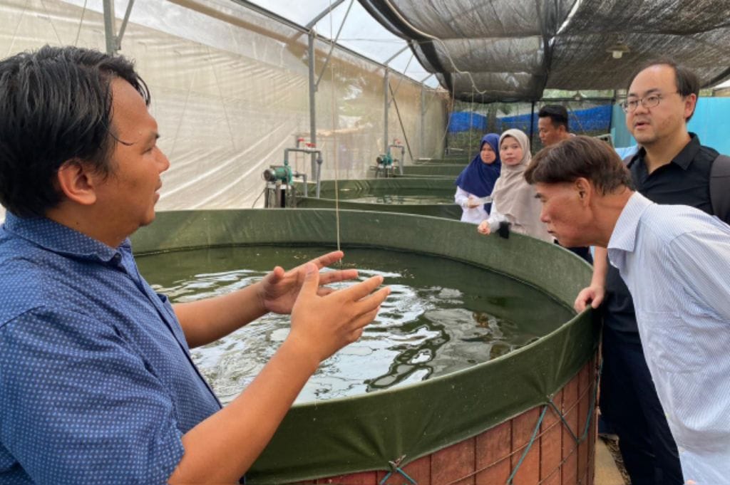 Kementan dan EPIS Korea Kembangkan Smart Green House di Polbangtan Bogor
