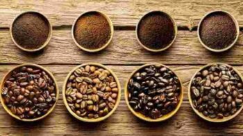 Produsen Kopi Dapat Kembangkan Profil Rasa Berbeda