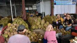 Komoditas durian diharapkan mampu bersaing di pasar global