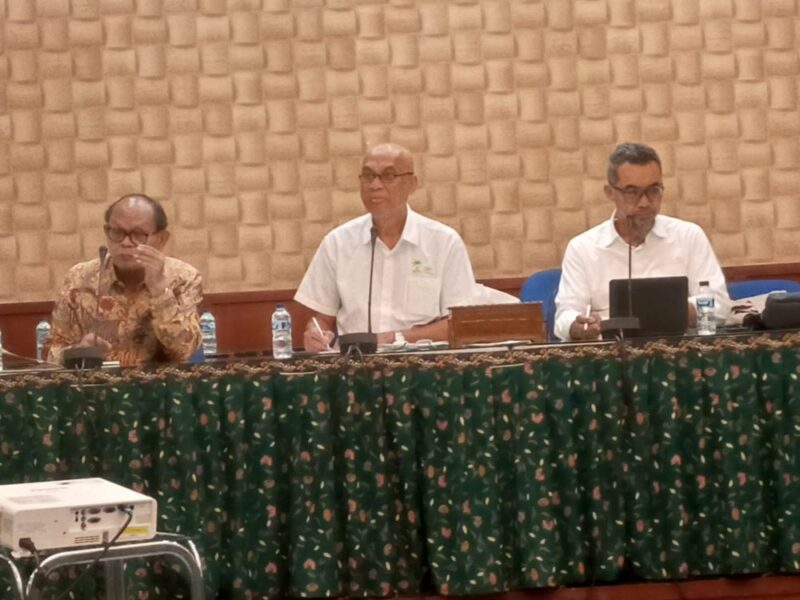 Kebijakan Sawit di Indonesia Tumpang Tindih Bikin Industri Susah