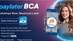 Paylater BCA Tidak Bisa Transfer Cash Cegah ‘Gali Lubang Tutup Lubang’