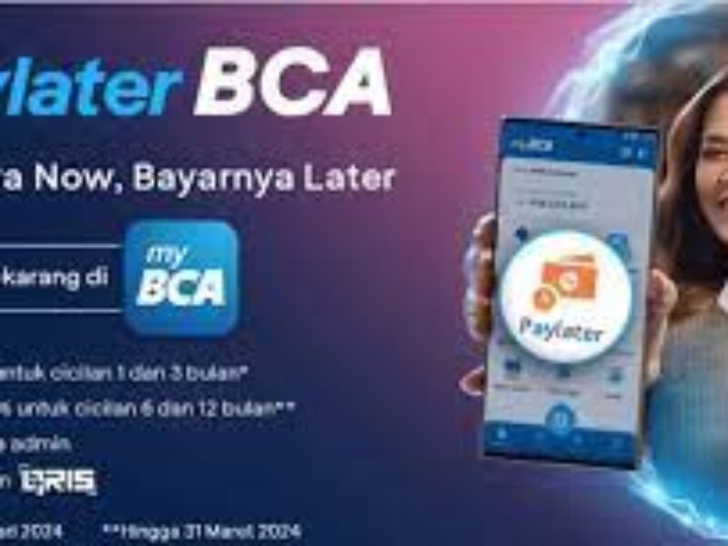Paylater BCA Tidak Bisa Transfer Cash Cegah ‘Gali Lubang Tutup Lubang’