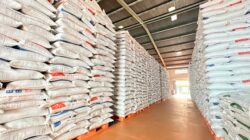 BPS: Produksi Beras Januari-Maret Melonjak Hingga 52,32%/Dok. Ist