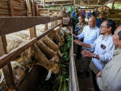 MenKopUKM Dorong Perkembangan Serat Rami Untuk Industri Tekstil di Tanah Air