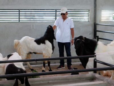 Direktur Pembiayaan Pertanian Merintis Ekosistem Pembiayaan Peternak Lokal