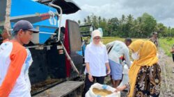 HPP Gabah Rp6.500/Kg Dorong Cadangan Beras Pemerintah Tembus 4 Juta Ton