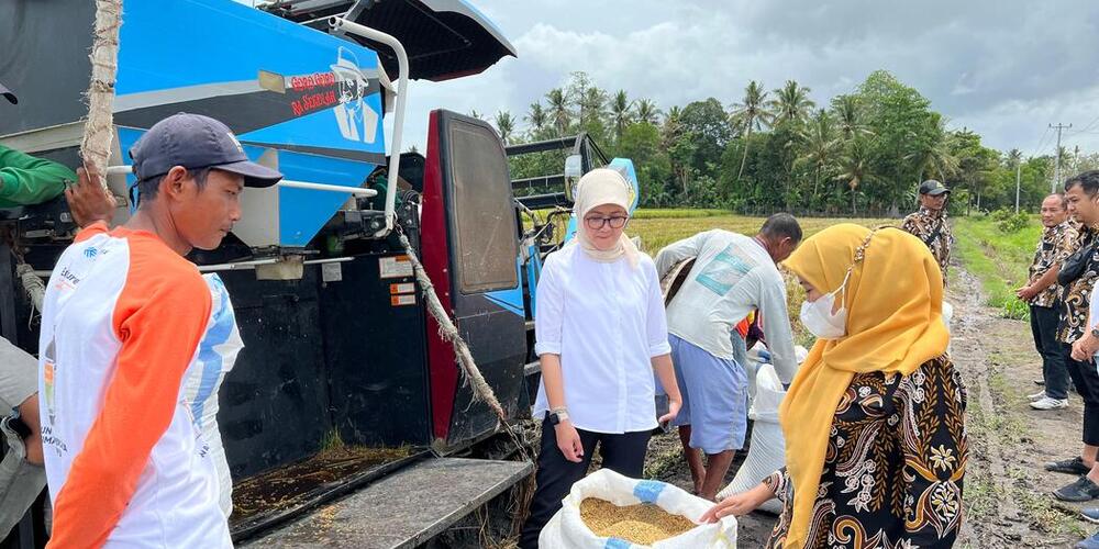 HPP Gabah Rp6.500/Kg Dorong Cadangan Beras Pemerintah Tembus 4 Juta Ton
