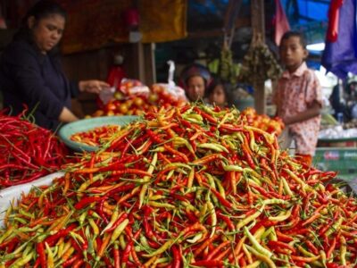 Satgas Pangan Polri Sebut Harga Cabai Naik Jelang Idul Adha