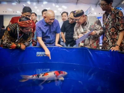 MenKopUKM: Penguatan dan Inovasi Ekosistem UMKM Ikan Hias untuk Pasar Global