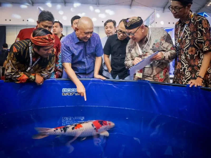 MenKopUKM: Penguatan dan Inovasi Ekosistem UMKM Ikan Hias untuk Pasar Global