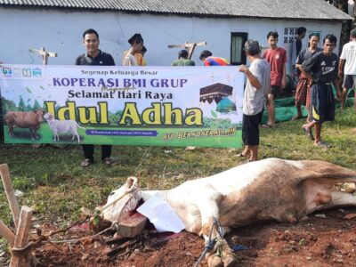 Idul Adha 1445 H, Koperasi BMI Grup Sembelih 40 Sapi Dan 197 Ekor Kambing