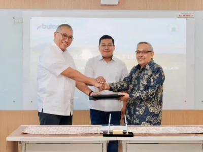 BULOG dan Perpadi Kerja sama untuk Stok Pangan Berkelanjutan