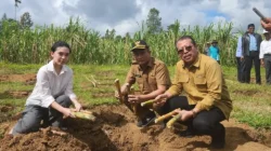 Pelatihan Koperasi Kana: Meningkatkan Produksi Gula Merah Petani Tebu di Kanagarian Lawang