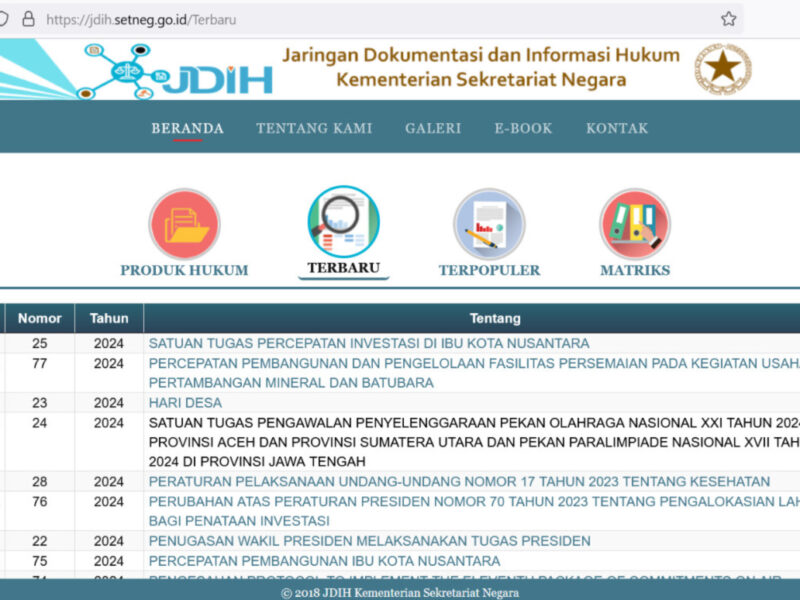 Jokowi Bentuk Satgas Percepatan Investasi di IKN