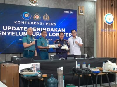 Ungkap Gudang Penyelundupan Benih Lobster, KKP: Kerugiannya Mencapai Rp7,4 Miliar