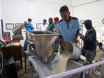 KPSP Setia Kawan Hasilkan Miliaran Rupiah dari Memerah Susu Sapi