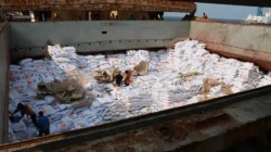 Bulog Impor 2,4 Juta Ton Beras hingga Juli 2024