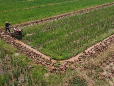 Kemendes PDT Alokasikan Dana Desa Rp16 Triliun untuk Swasembada Pangan