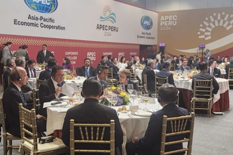 Indonesia Mendukung Pertumbuhan Pasar Kredit Karbon di APEC