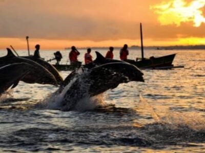 Bali Selatan Terlalu Padat, Bali Utara Makin Diminati Wisatawan