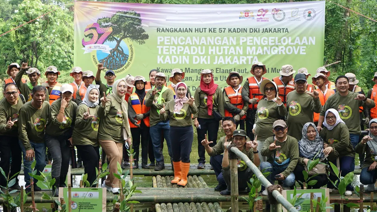 Kadin DKI Jakarta Tanam 500 bibit pohon bakau di PIK untuk Cegah Abrasi