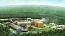 Mendag Pastikan Perkuat Kerja Sama Industri Kelapa Sawit dengan Malaysia