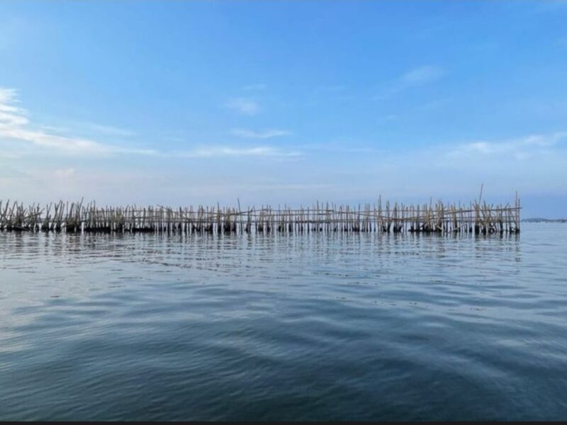 Menteri ATR/BPN Nusron Wahid Akui Terbitkan 263 SHGB di Pagar Laut Tangerang