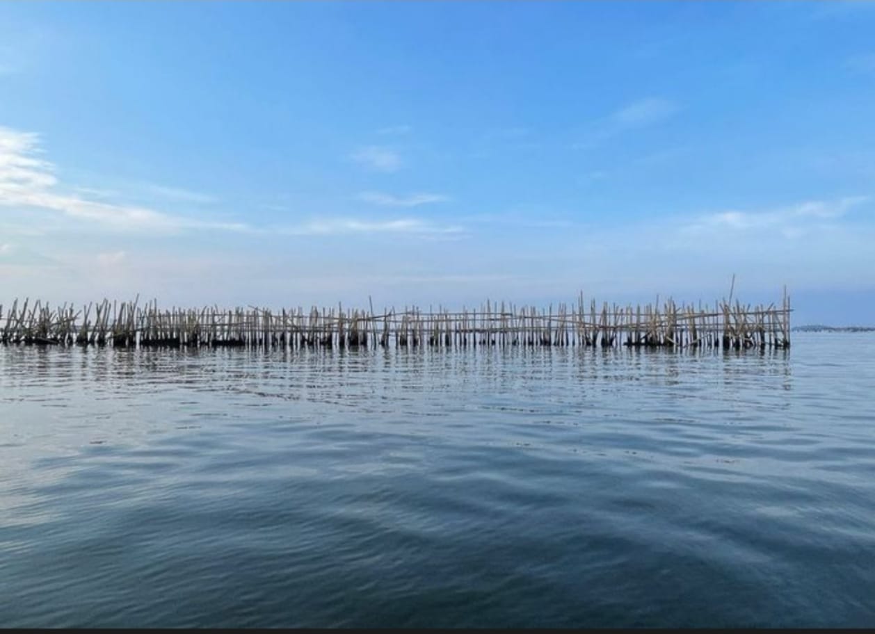Menteri ATR/BPN Nusron Akui Terbitkan 263 SHGB di pagar laut Tangerang