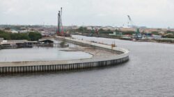 Giant Mangrove Wall Jadi Solusi Antisipasi Banjir Rob di Jalur Pantura