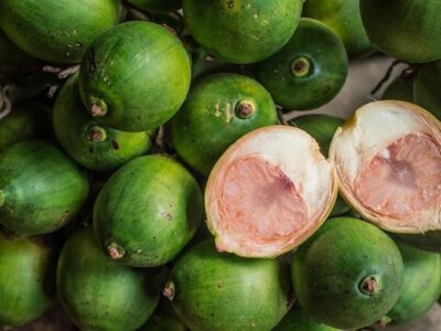 Potensi Pinang Muda Jambi Kian Dilirik Eksportir, Harga Melonjak