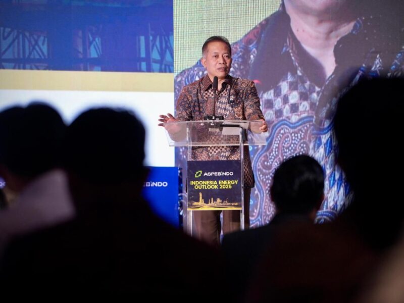 Wamenkop: Koperasi Berpeluang Kelola Tambang Minyak dan Gas setelah Revisi UU Minerba