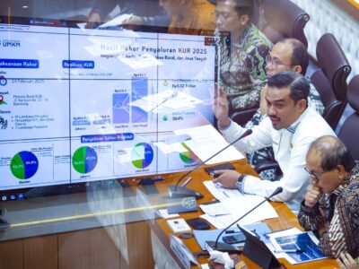 Kementerian UMKM dan DPR Perkuat Sinergi untuk Sukseskan Penyaluran KUR