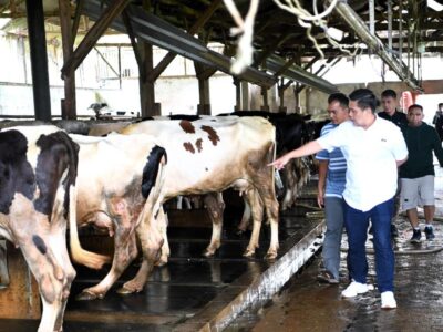Gelora Semangat dan Optimisme Warga Sambut Kopdes Merah Putih