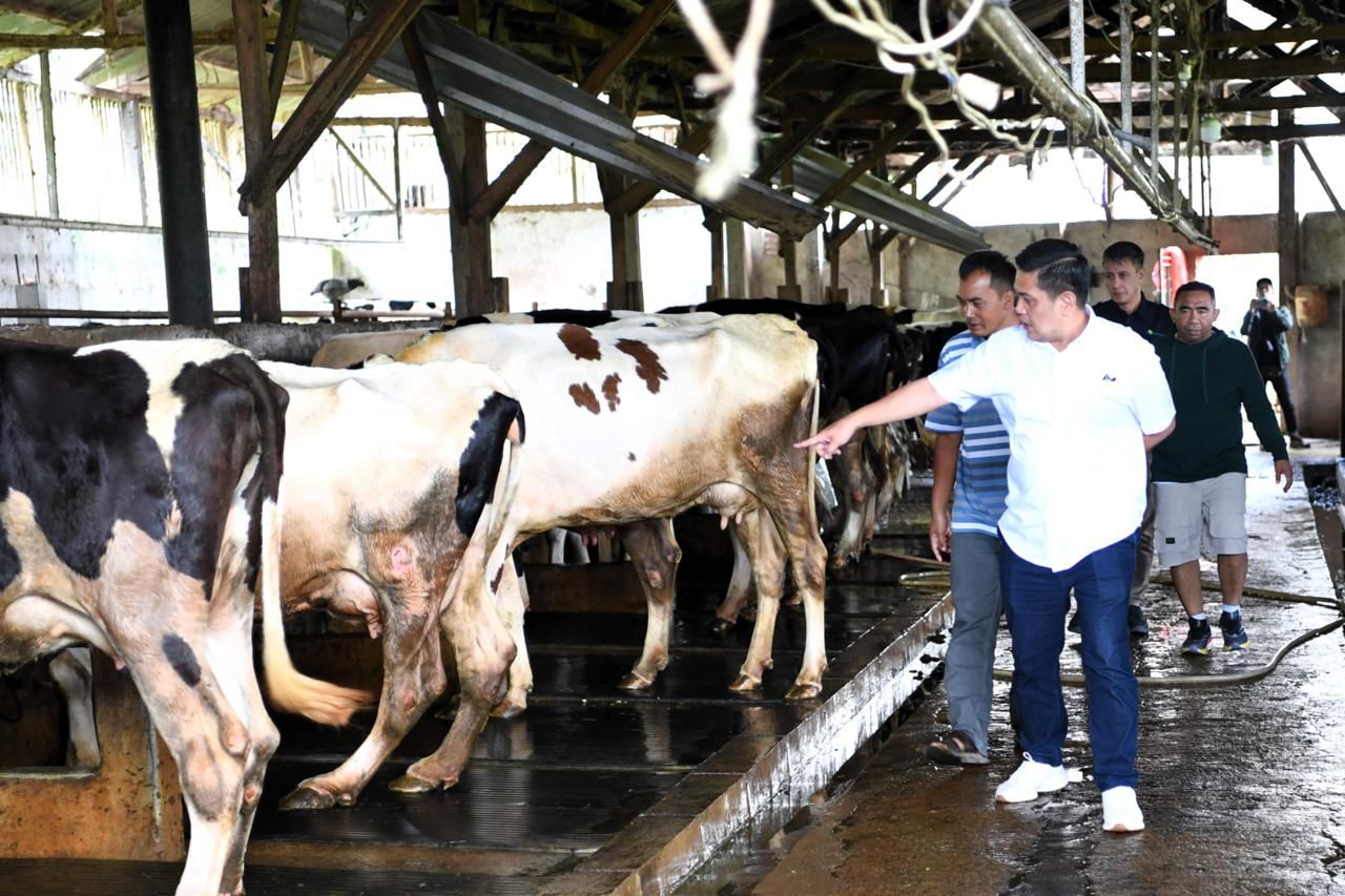 Gelora Semangat dan Optimisme Warga Sambut Kopdes Merah Putih