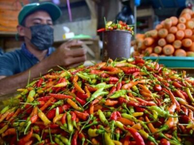Kementan Pastikan Harga Cabai Tetap Stabil Selama Libur Lebaran 2025