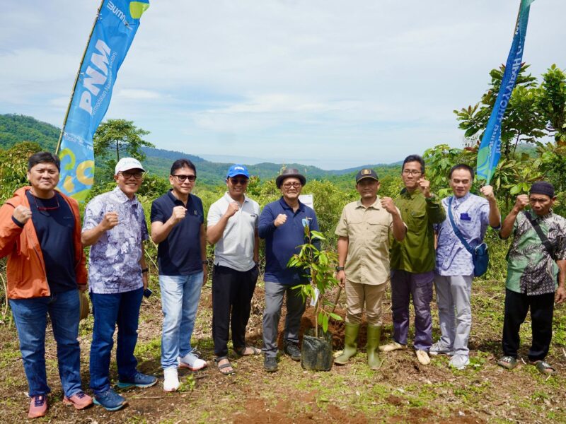 Kementerian UMKM dan PNM Dukung Pembiayaan UMKM Agroforestry di Sukabumi