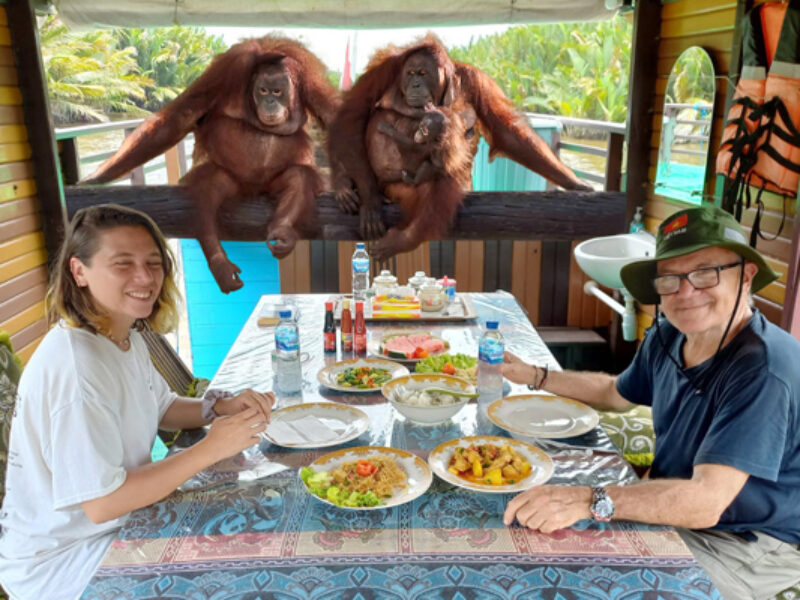 Bersafari Ria di Republik Orangutan