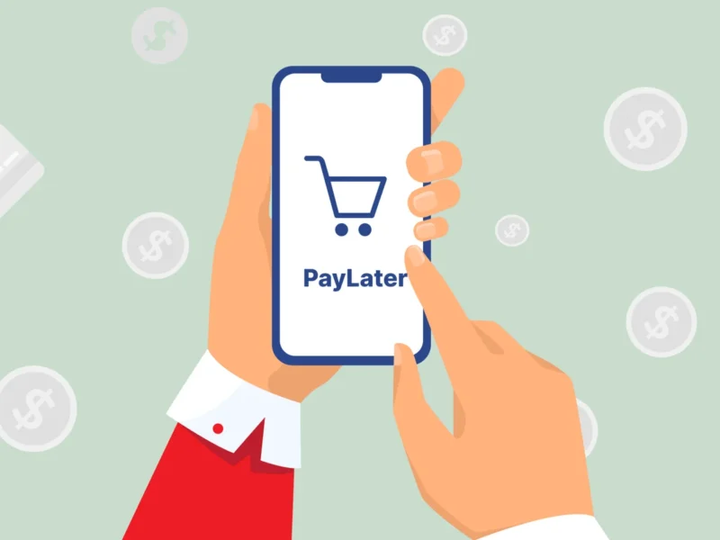 Pemerintah Tegaskan Perlindungan Konsumen dalam Layanan Paylater E-Commerce