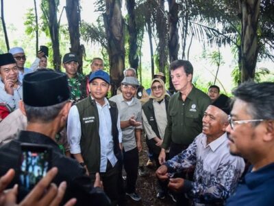 Pohon Aren Jadi Solusi Ketahanan Pangan dan Energi