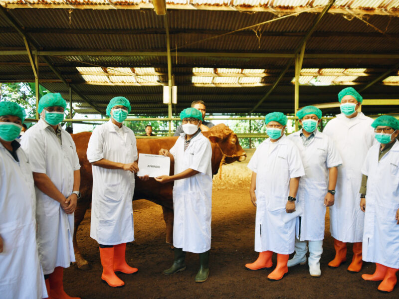 2.500 Mustahik Terima Daging Kurban Kemendag
