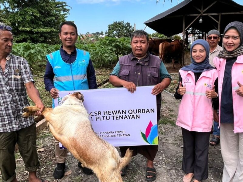 PLN NP Tebar 25 Ribu Paket Qurban