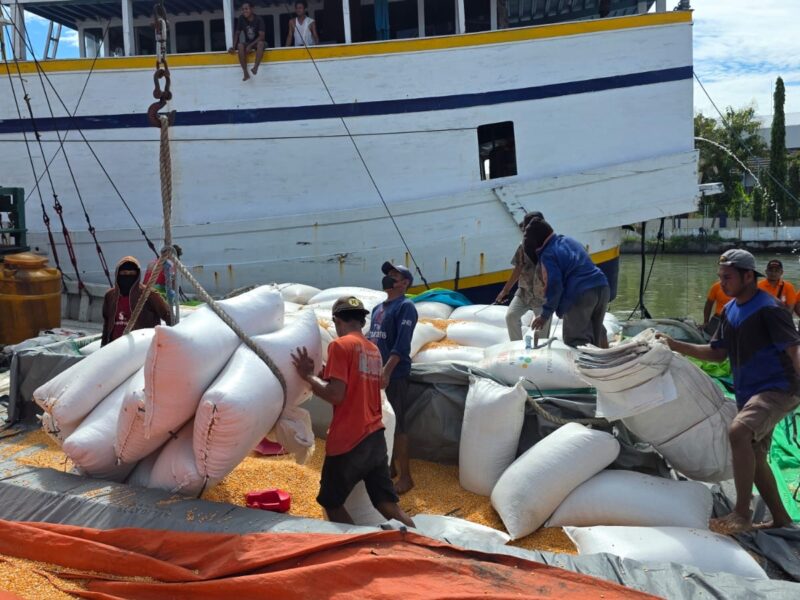 Perkuat Ketahanan Pangan Lewat Distribusi Jagung Antarwilayah